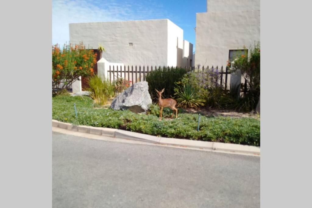 Apartment Little Italy Beachouse By Mykonos *